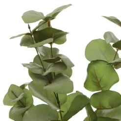 Native Eucalyptus Leaf Spray Flash Sale