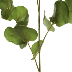 Native Eucalyptus Leaf Spray Flash Sale