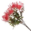 Native Red Pink Pincushion Protea Flower Spray Discount