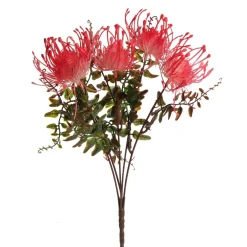 Native Red Pink Pincushion Protea Flower Spray Discount