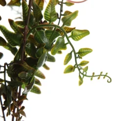 Native Red Pink Pincushion Protea Flower Spray Discount