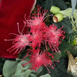 Native Red Pink Pincushion Protea Flower Spray Discount