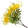 Native Yellow Pincushion Protea Flower Spray Flash Sale