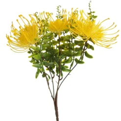 Native Yellow Pincushion Protea Flower Spray Flash Sale