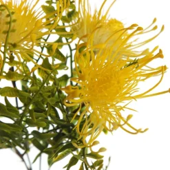 Native Yellow Pincushion Protea Flower Spray Flash Sale