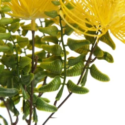 Native Yellow Pincushion Protea Flower Spray Flash Sale