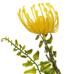 Native Yellow Pincushion Protea Flower Spray Flash Sale
