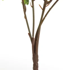 Native Yellow Pincushion Protea Flower Spray Flash Sale