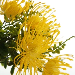 Native Yellow Pincushion Protea Flower Spray Flash Sale