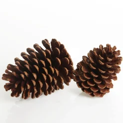 Natural Pine Cone Cheap