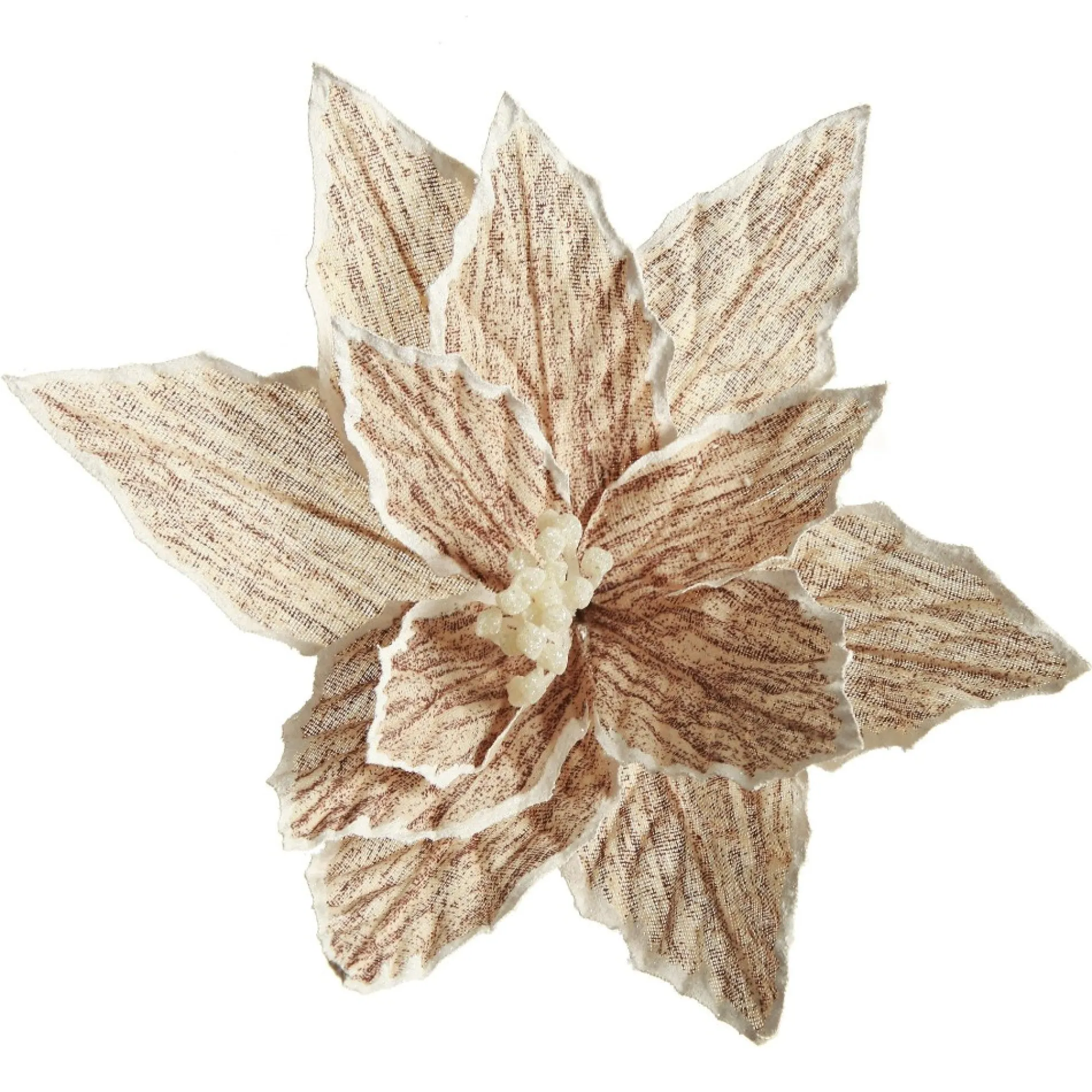 Natural Poinsettia Flower Clip with White Trim Flash Sale