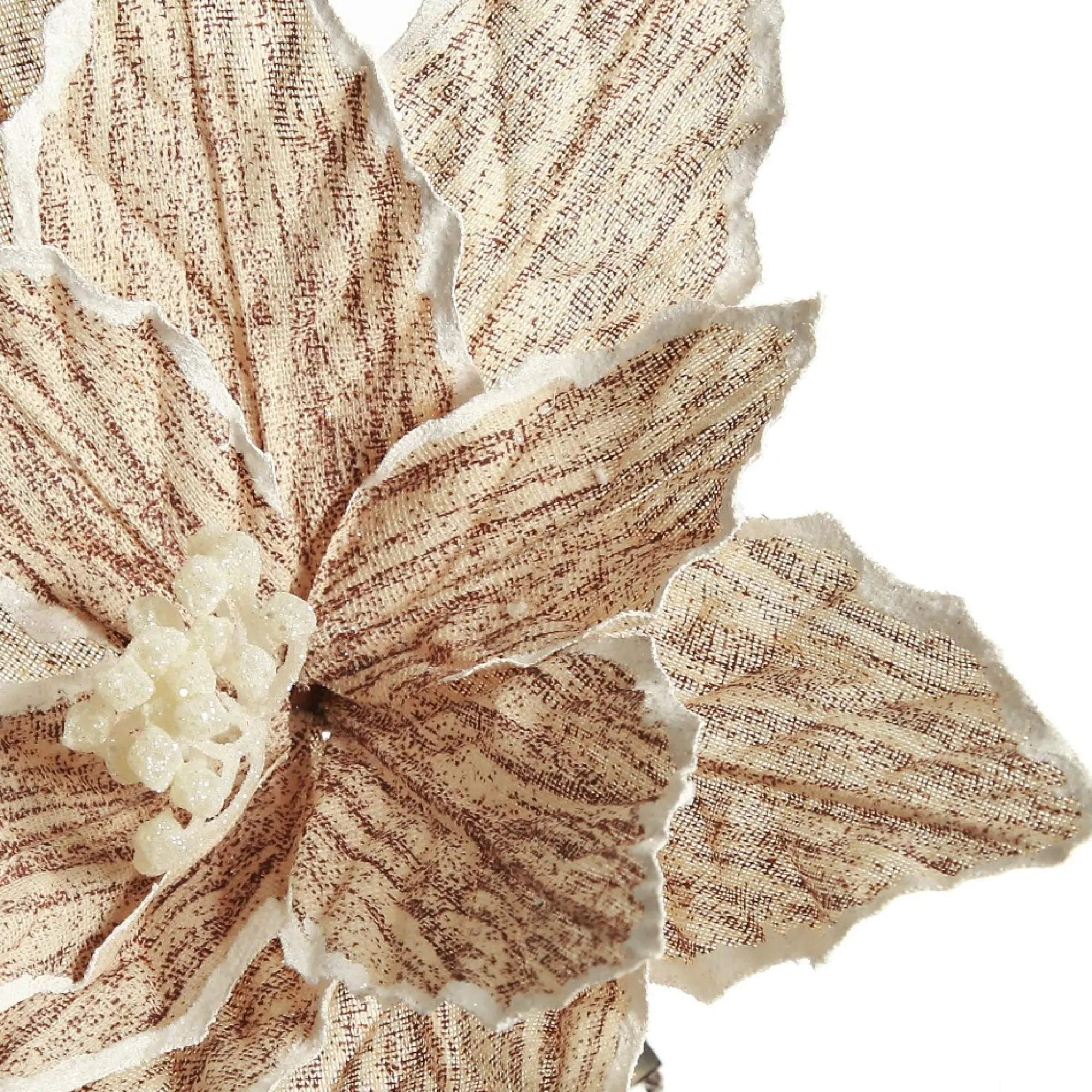 Natural Poinsettia Flower Clip with White Trim Flash Sale