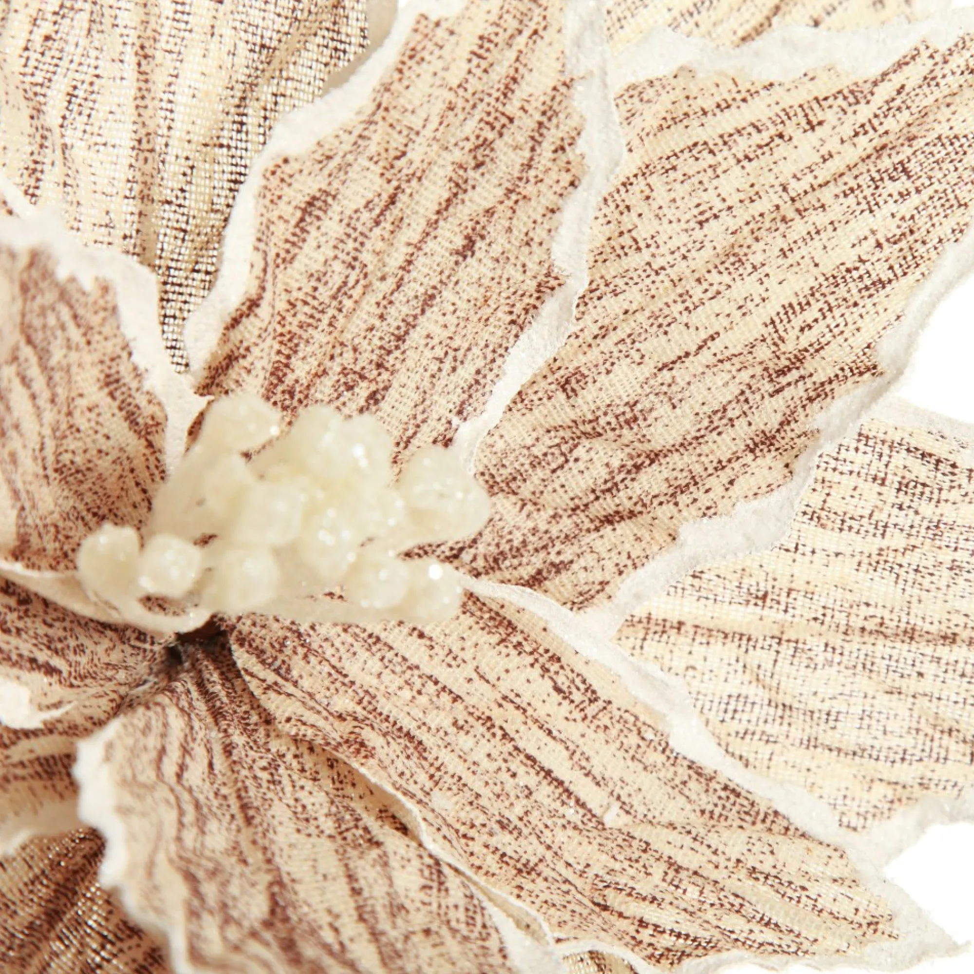 Natural Poinsettia Flower Clip with White Trim Flash Sale