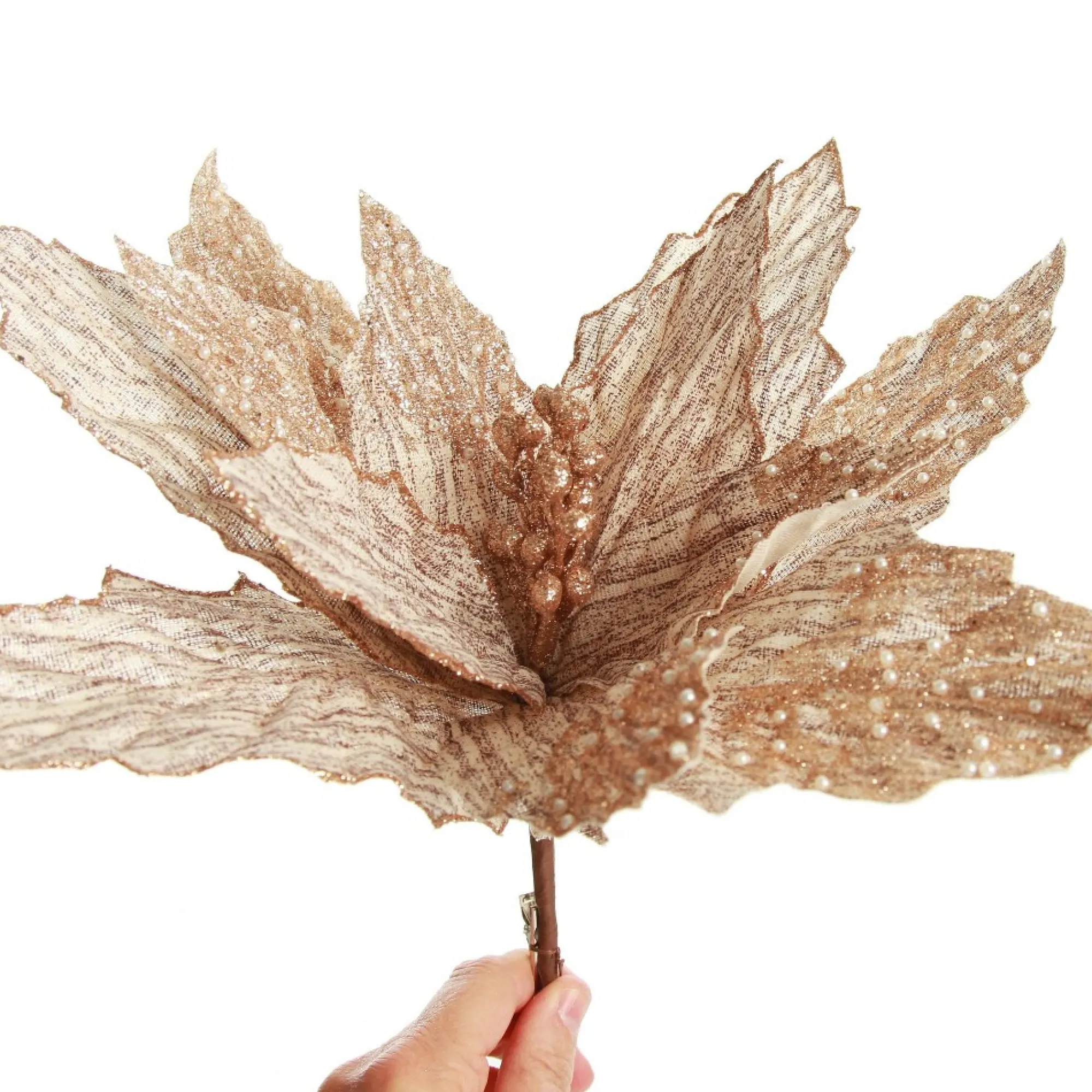 Natural Poinsettia Flower Clip with Glitter Tips Store