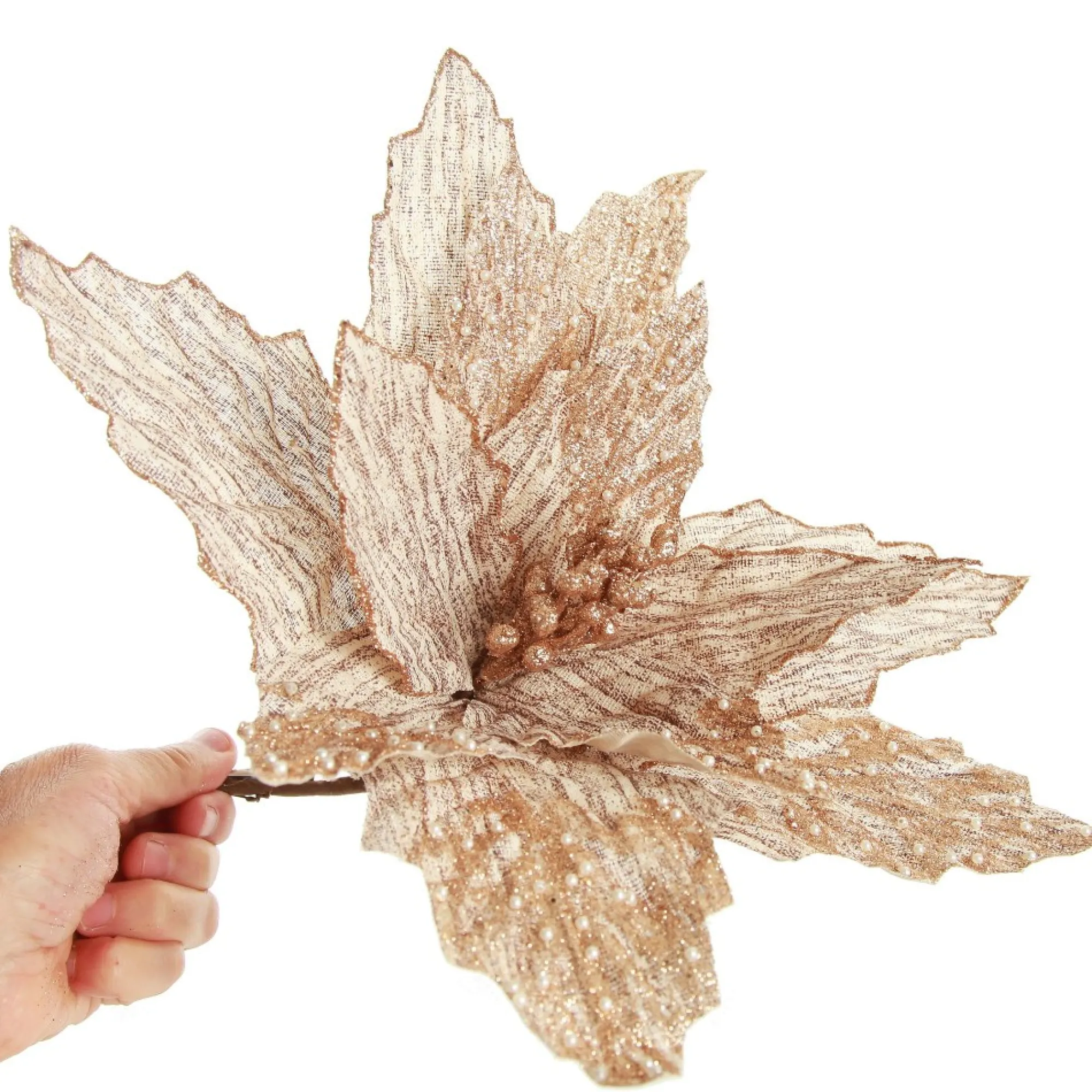 Natural Poinsettia Flower Clip with Glitter Tips Store