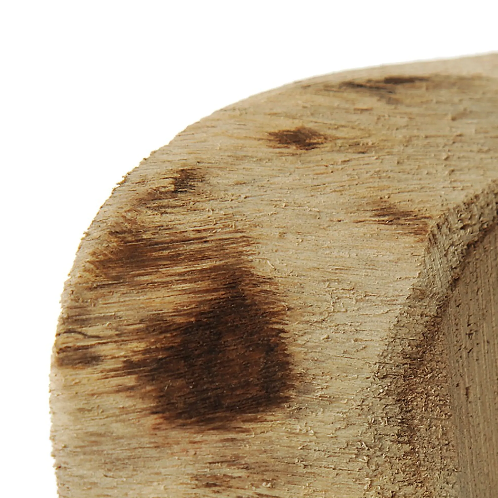 Oval Natural Wood Timber Slice Best Sale