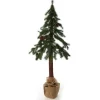 Pencil Pine Christmas Tree Best