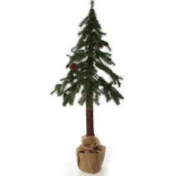 Pencil Pine Christmas Tree Best