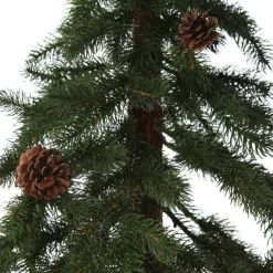 Pencil Pine Christmas Tree Best