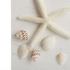 Personalised Beach Christmas Wood Plaque Cheap