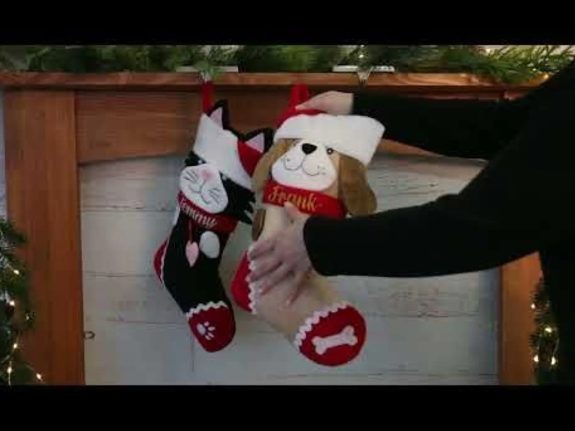 Personalised Fun Dog Christmas Stocking Fashion