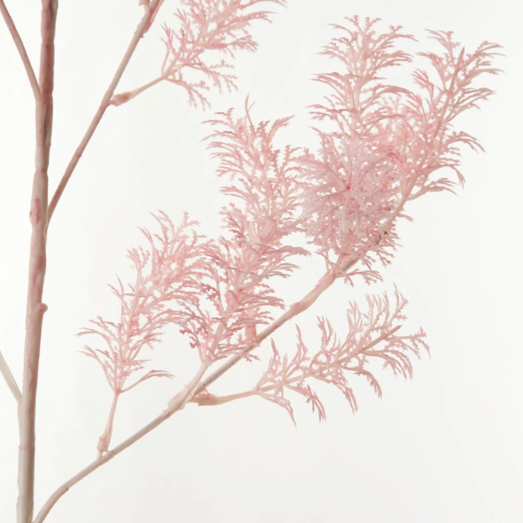 Pink Bushy Coral Spray Best Sale