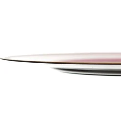 Pink Charger Plate with Gold Edging Fashion