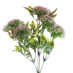 Pink Gumnut Flower Christmas Bush Spray Sale