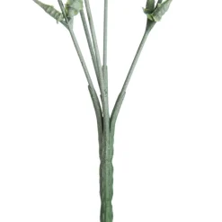 Pink Gumnut Flower Christmas Bush Spray Sale