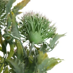 Pink Gumnut Flower Christmas Bush Spray Sale