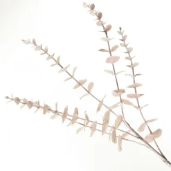 Pink Pearl Eucalyptus Dollar Gum Spray Shop