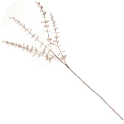 Pink Pearl Eucalyptus Dollar Gum Spray Shop