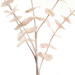 Pink Pearl Eucalyptus Dollar Gum Spray Shop