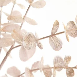 Pink Pearl Eucalyptus Dollar Gum Spray Shop