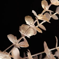 Pink Pearl Eucalyptus Dollar Gum Spray Shop