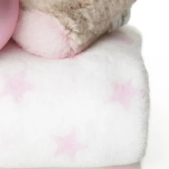 Pink Teddy with Blanket and Bauble Gift Pack Best