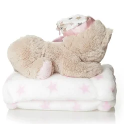 Pink Teddy with Blanket and Bauble Gift Pack Best