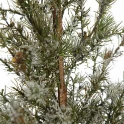 Potted Christmas Pine Tree with Snowy Top Discount