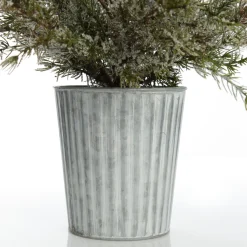 Potted Christmas Pine Tree with Snowy Top Discount