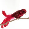 Red and Sequin Feather Bird Clip Best
