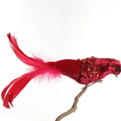 Red and Sequin Feather Bird Clip Best