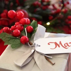 Red Berry Pick - Set of 2 Flash Sale