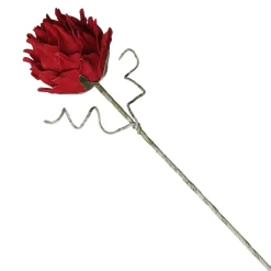 Red Ginger Lily Flower Stem Clearance