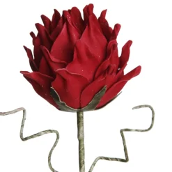 Red Ginger Lily Flower Stem Clearance