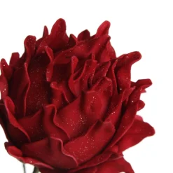 Red Ginger Lily Flower Stem Clearance