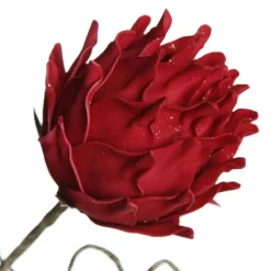 Red Ginger Lily Flower Stem Clearance