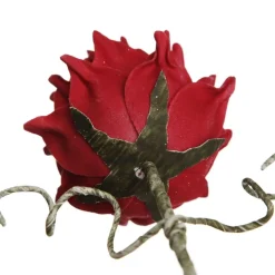 Red Ginger Lily Flower Stem Clearance