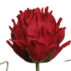 Red Ginger Lily Flower Stem Clearance