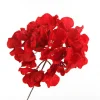 Red Hydrangea Flower Stem Shop