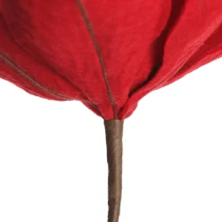 Red Magnolia Flower Stem Store